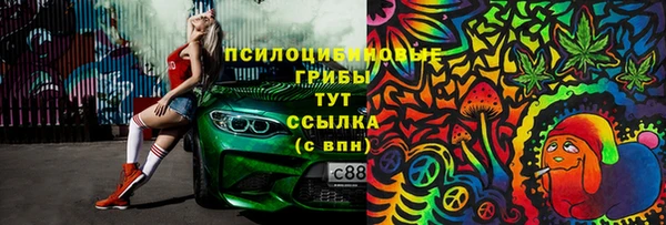 2c-b Абдулино